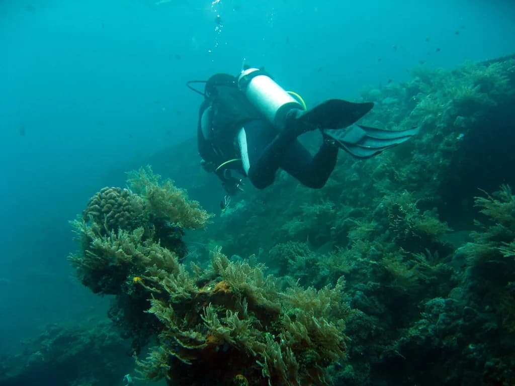 Scuba diver swimming along the coral-covered hull of the USAT Liberty wreck at Tulamben, Bali