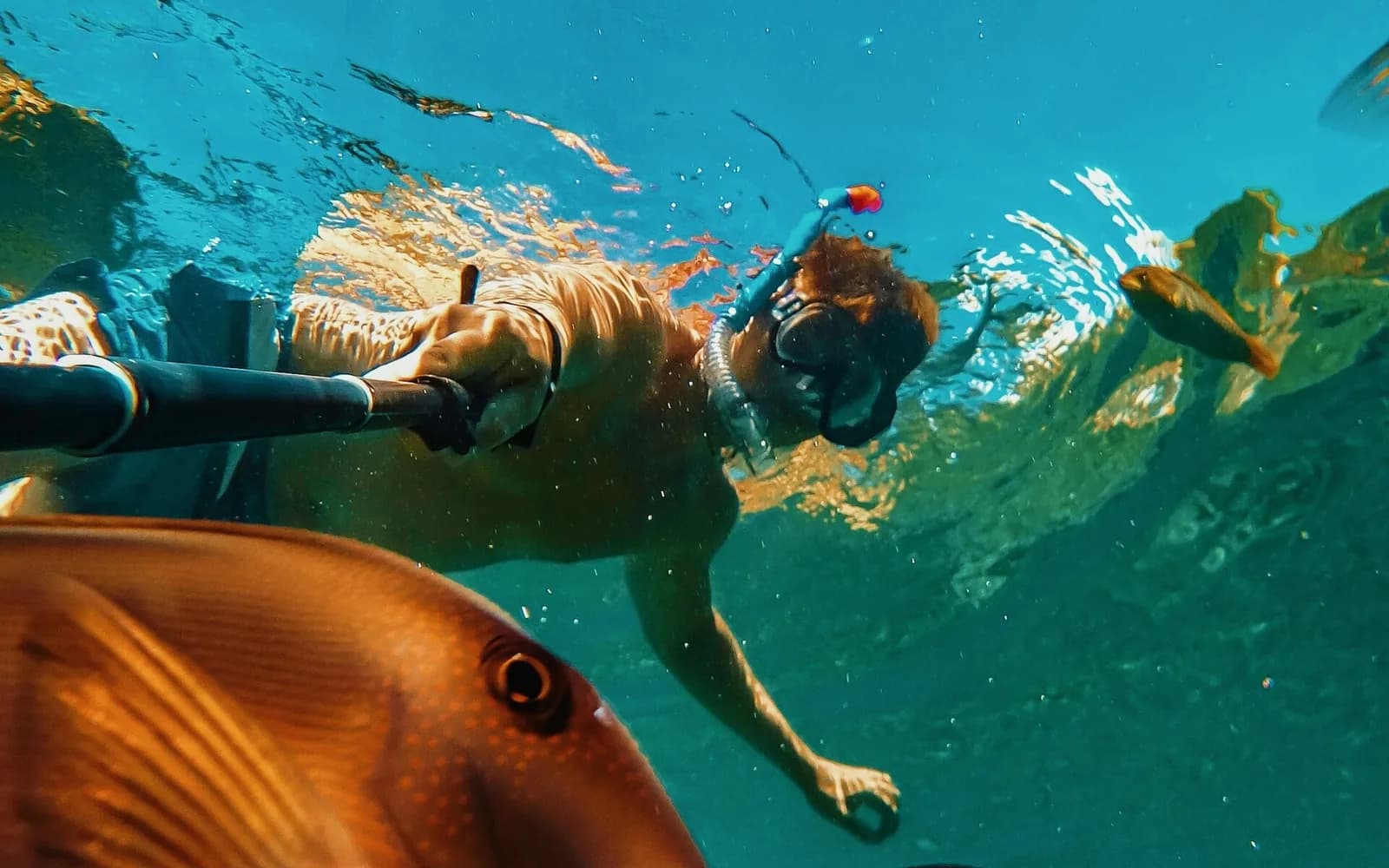 Snorkeler with a mask and camera pole swimming among surgeonfish just below the surface in Amed, Bali