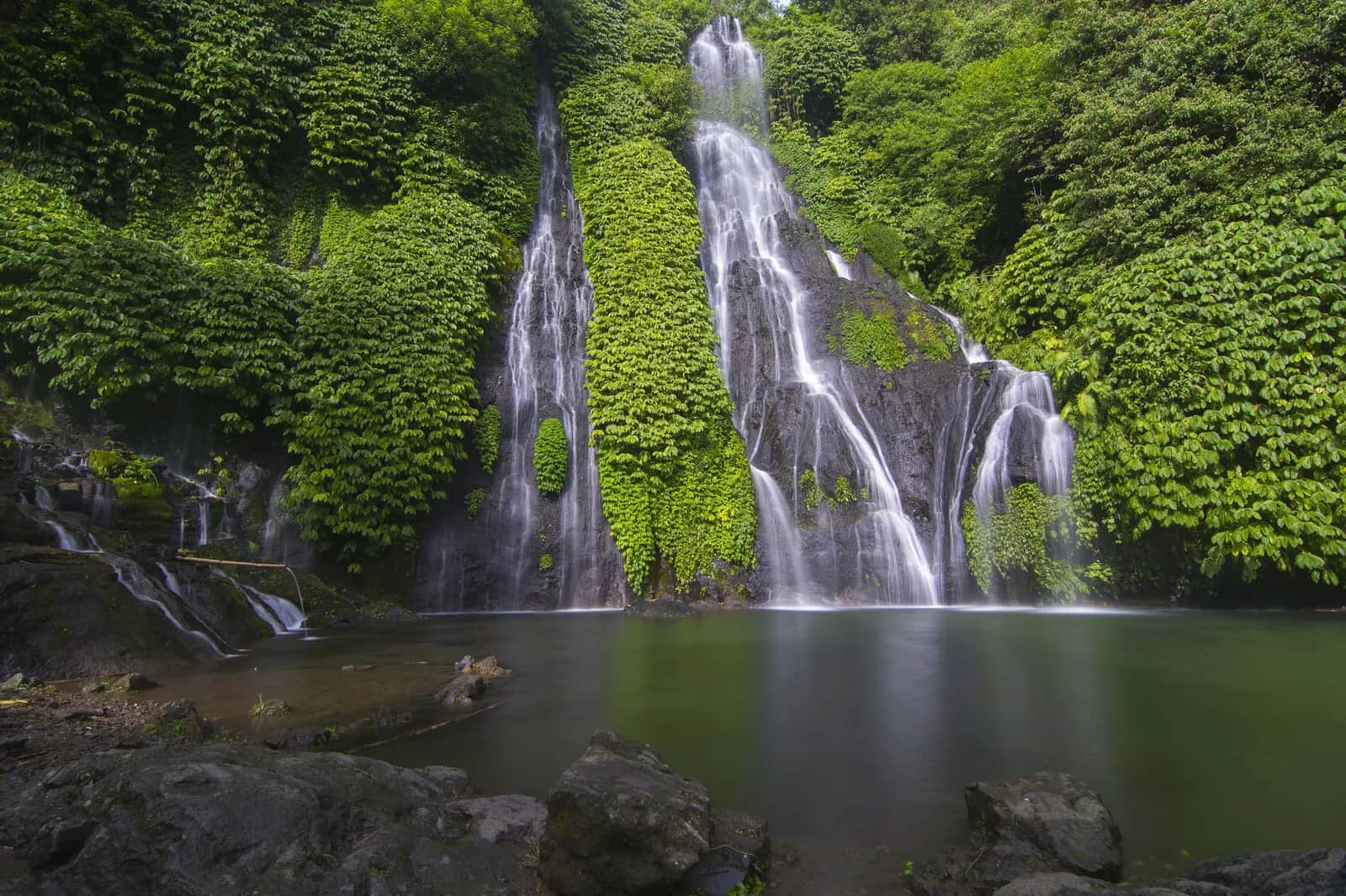 Twin falls of Banyumala dropping down a fern-covered rock wall into a pool, Wanagiri, north Bali