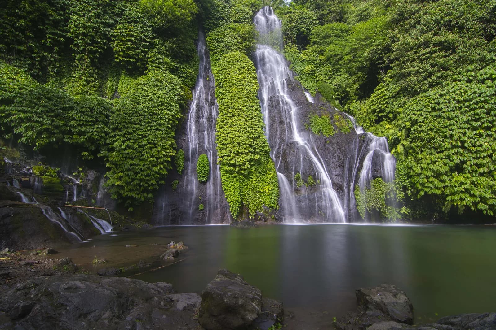 Twin falls of Banyumala dropping down a fern-covered rock wall into a pool, Wanagiri, north Bali