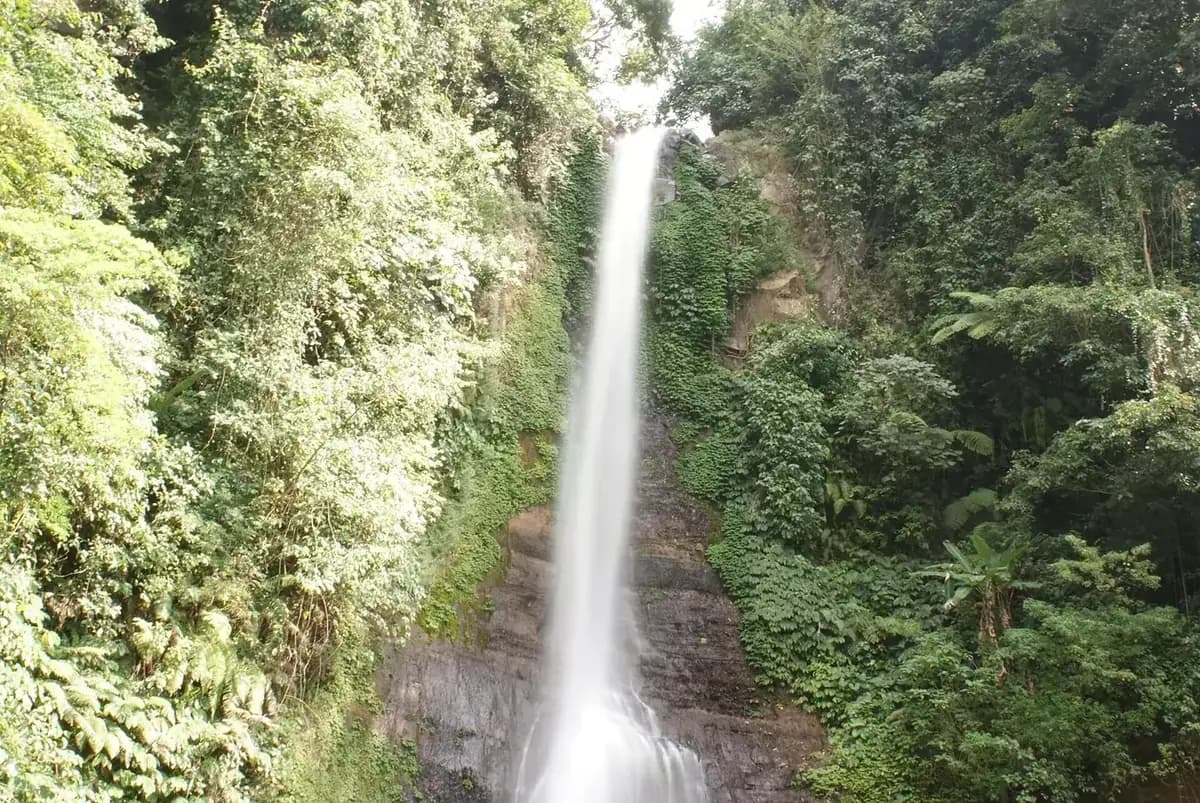 Gitgit waterfall falling in a single tall column through dense jungle in Buleleng, north Bali
