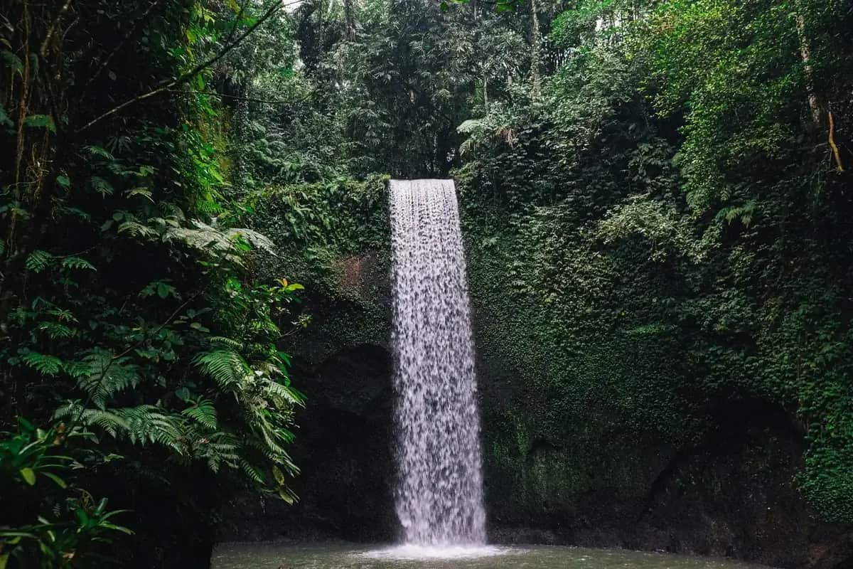 Tibumana waterfall, a single narrow drop into a green pool enclosed by jungle east of Ubud