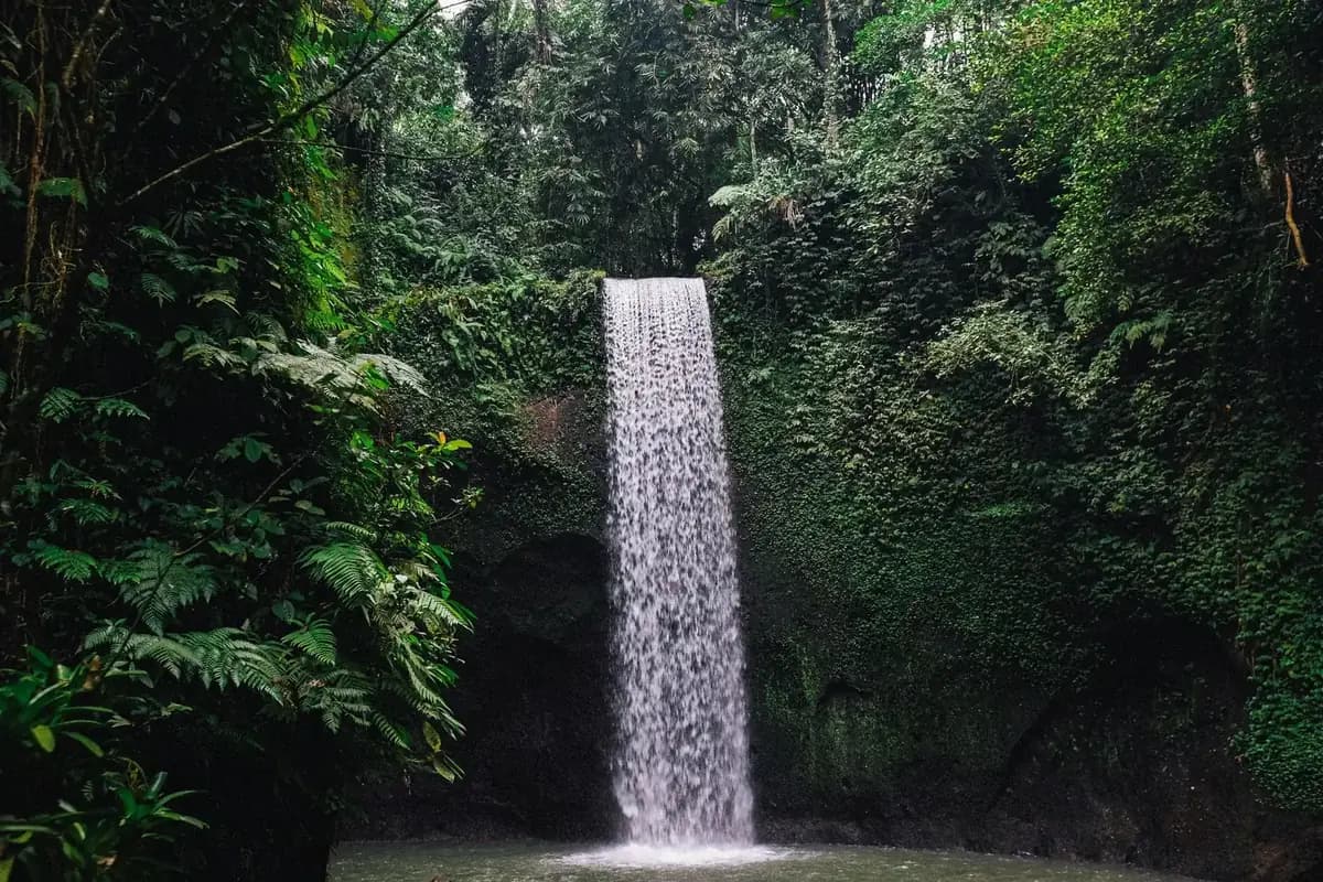 A single clean drop falling into a shallow green pool surrounded by jungle at Tibumana