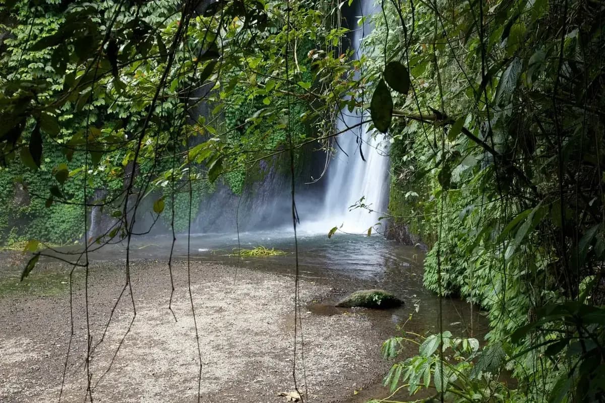 A waterfall dropping into a wide pool framed by overhanging jungle near Munduk in north Bali