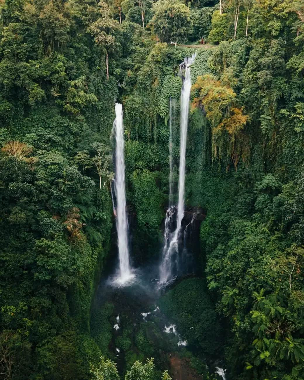 The twin drops of Sekumpul waterfall falling through dense green jungle in north Bali