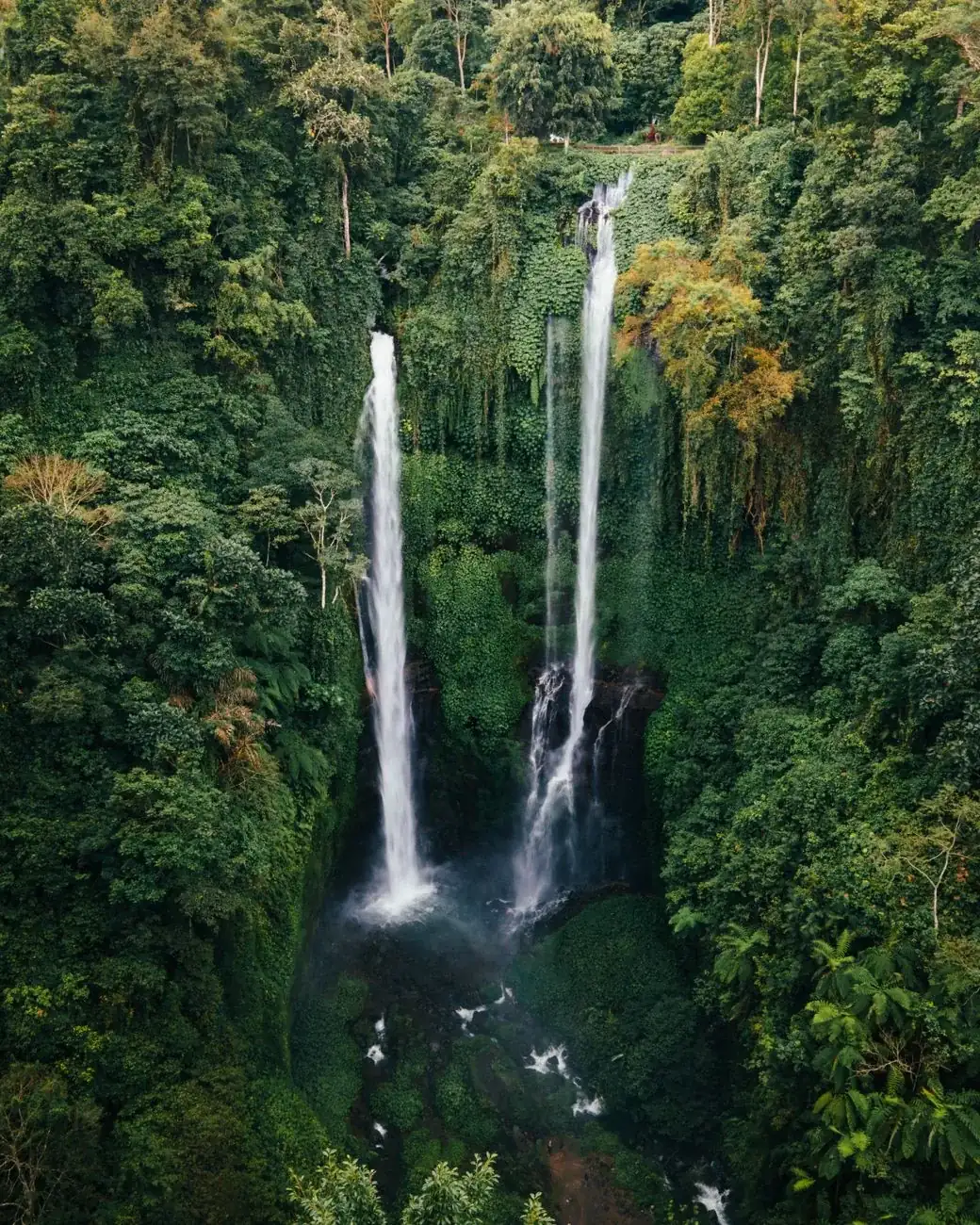 Twin falls of Sekumpul dropping through dense jungle in north Bali