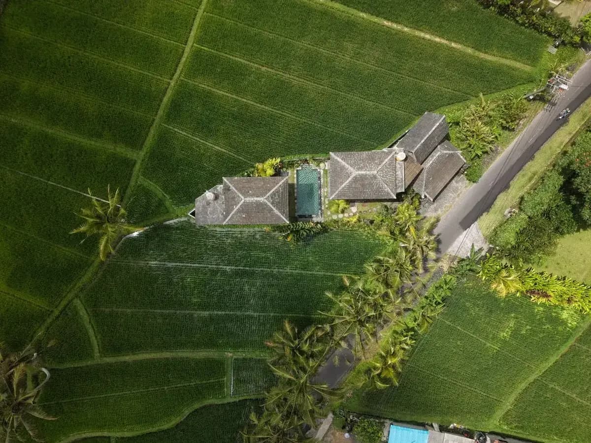 Aerial view of a thatched villa and pool surrounded by rice fields on the edge of Ubud