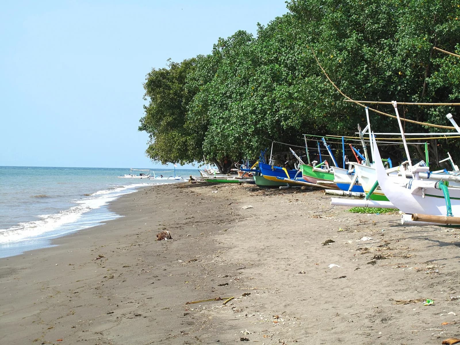 Black sand beach at Lovina with jukung boats pulled up under the trees, north Bali