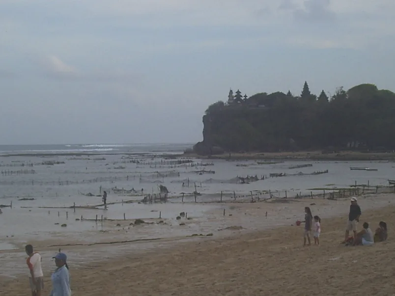 Geger Beach at low tide in Sawangan, Nusa Dua, with seaweed farming lines on the reef flat and Pura Geger on the wooded headland