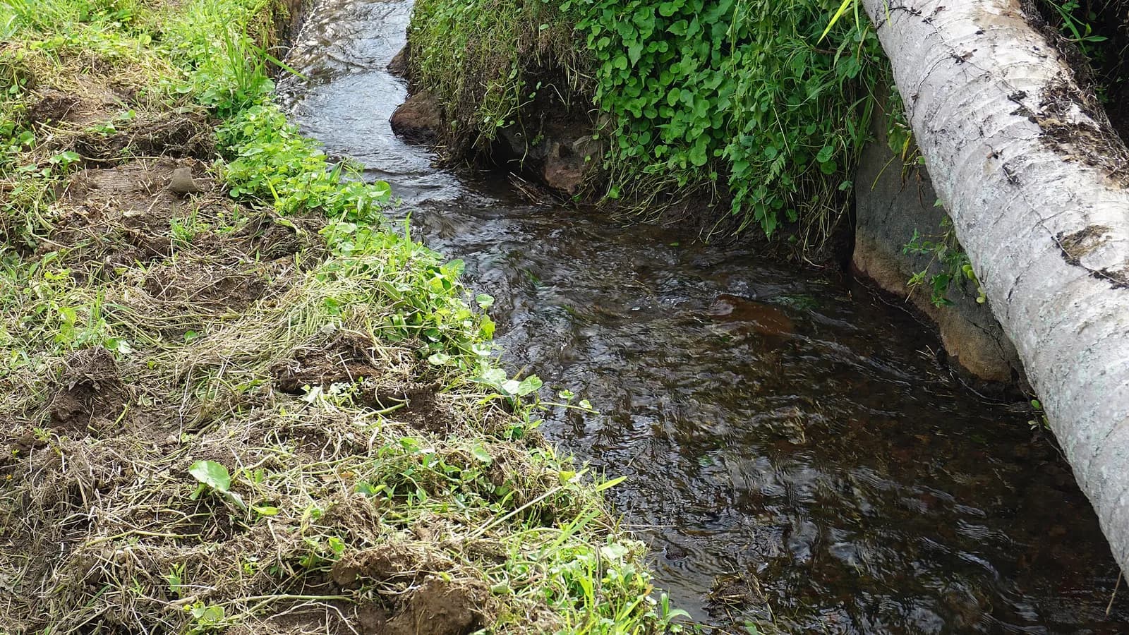 Narrow subak irrigation channel running beside the rice fields at Jatiluwih, Tabanan, Bali