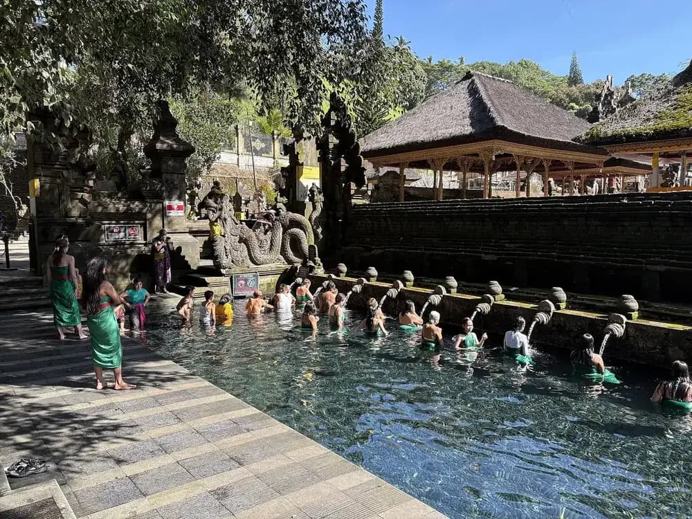 The main purification pool at Tirta Empul in morning sun, with bathers in green sarongs lined up along the spouts