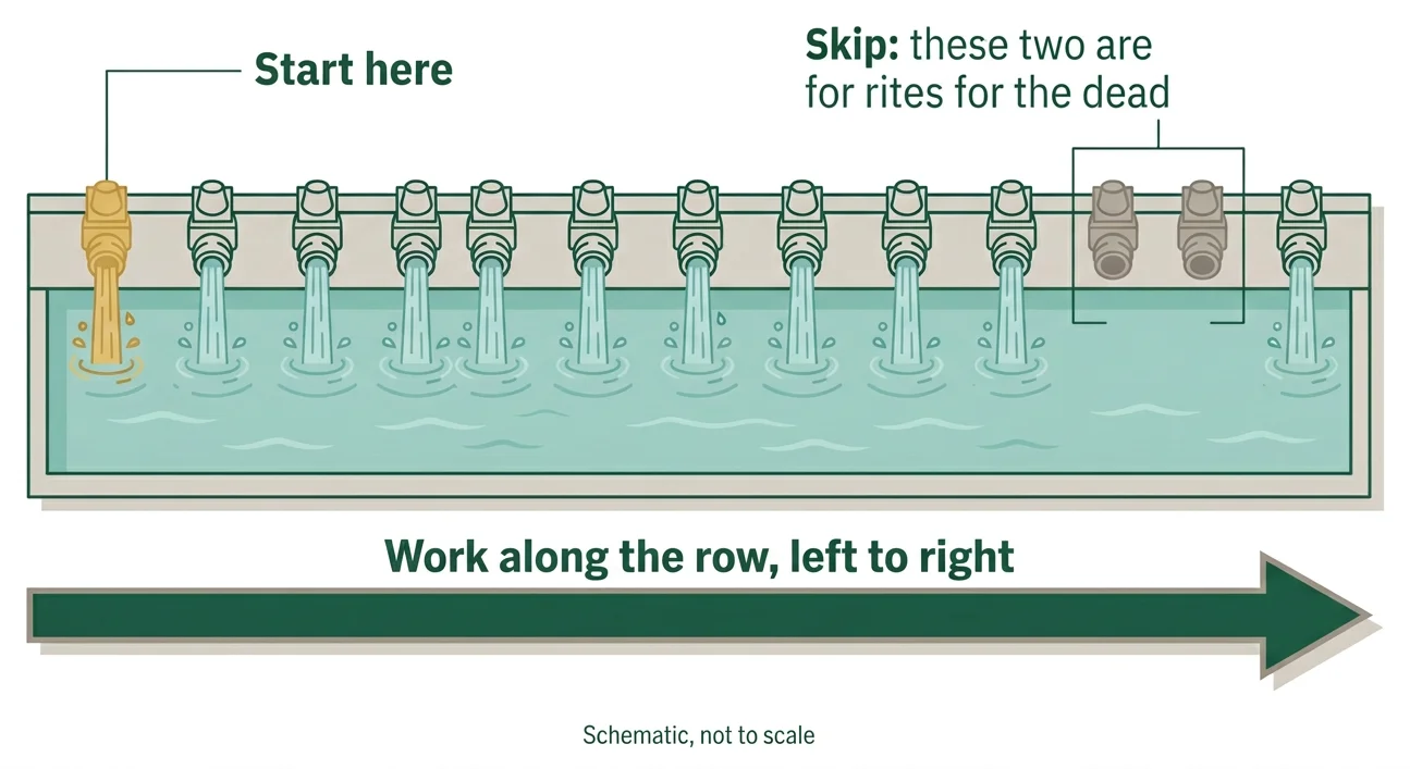 Schematic of the bathing pool at Tirta Empul: start at the first spout on the left, work along the row to the right, and skip the two spouts reserved for rites for the dead