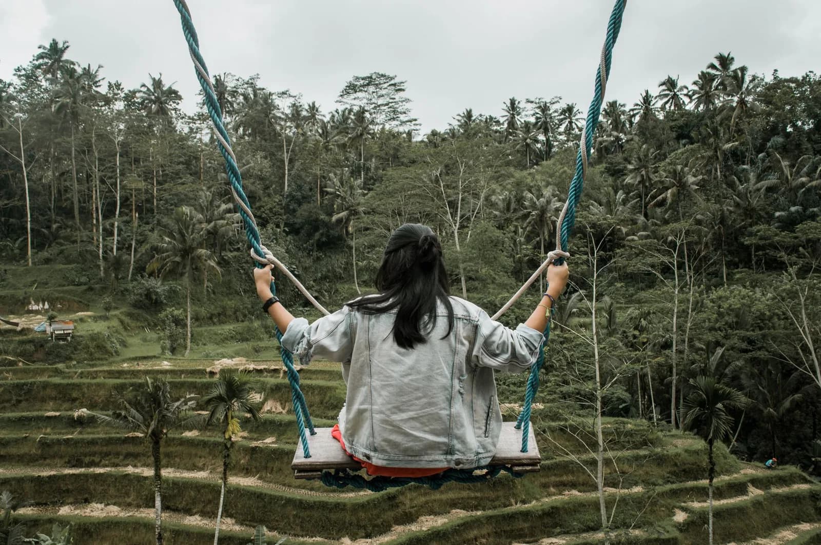 A wooden plank swing on two ropes above rice terraces and palms near Ubud, Bali, with the rider holding the ropes by hand