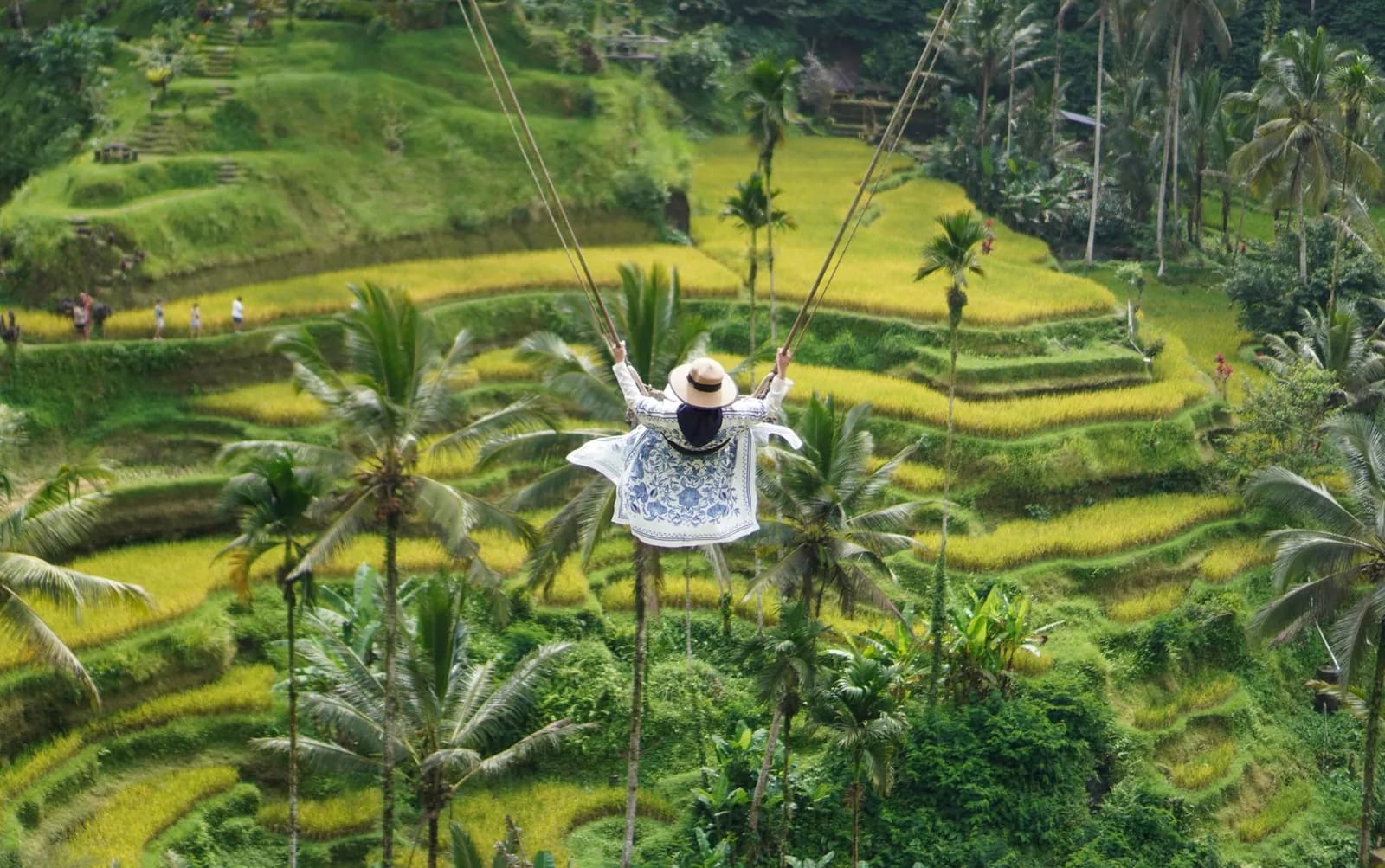 A visitor in a long dress on a rope swing above the rice terraces near Ubud, Bali