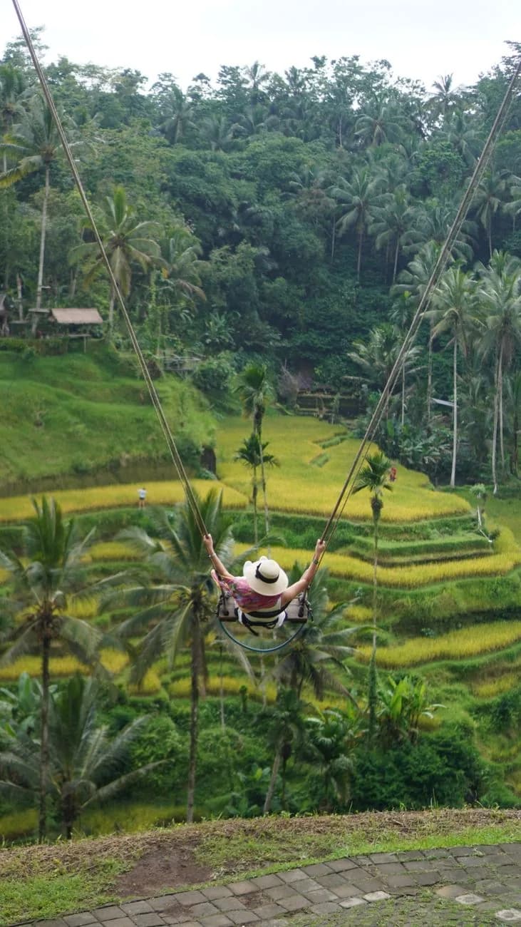 A visitor on a rope swing above the golden rice terraces at Tegallalang, Bali