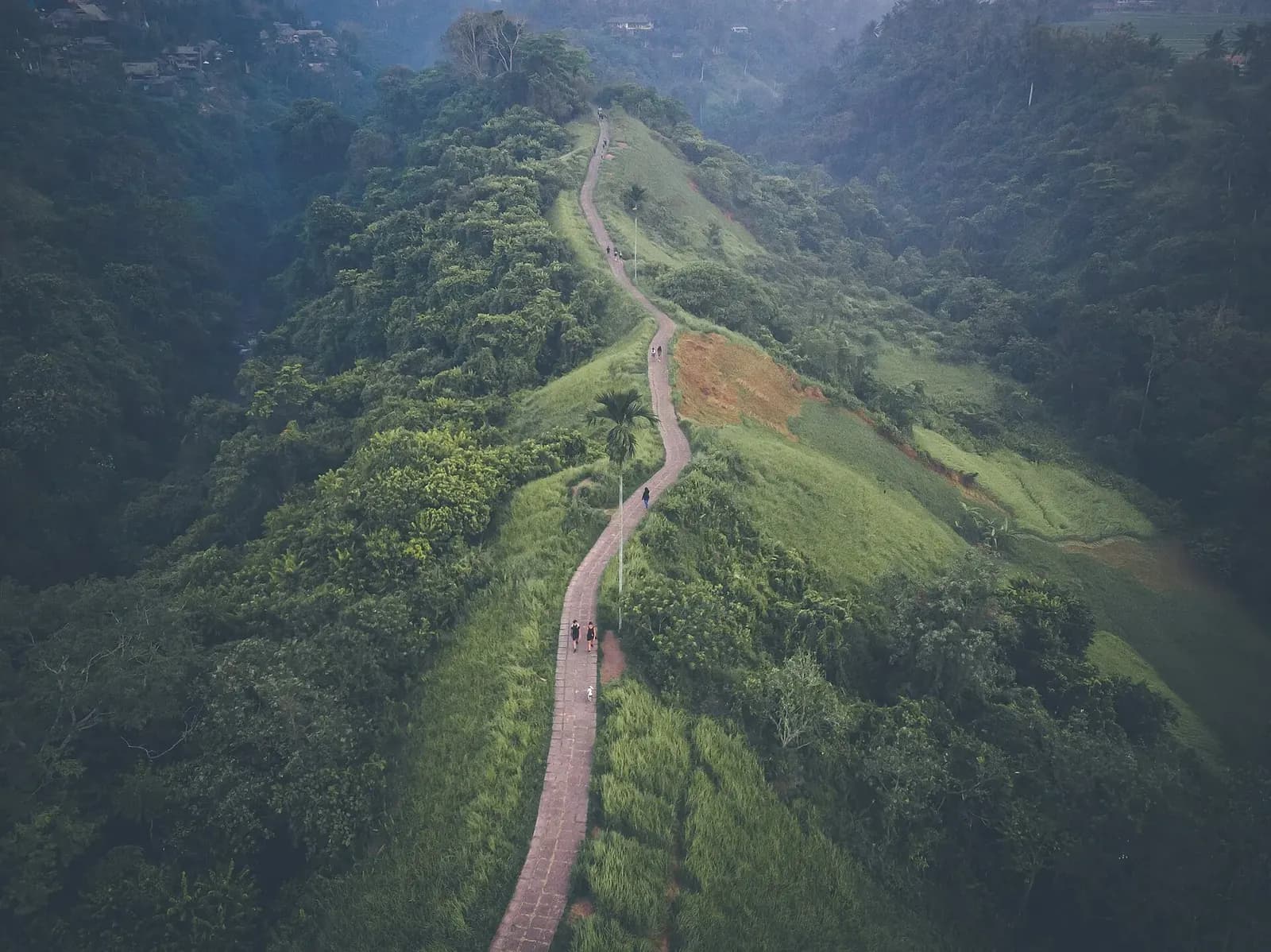 Aerial view of the paved Campuhan Ridge Walk running along a green crest between two wooded valleys near Ubud, Bali