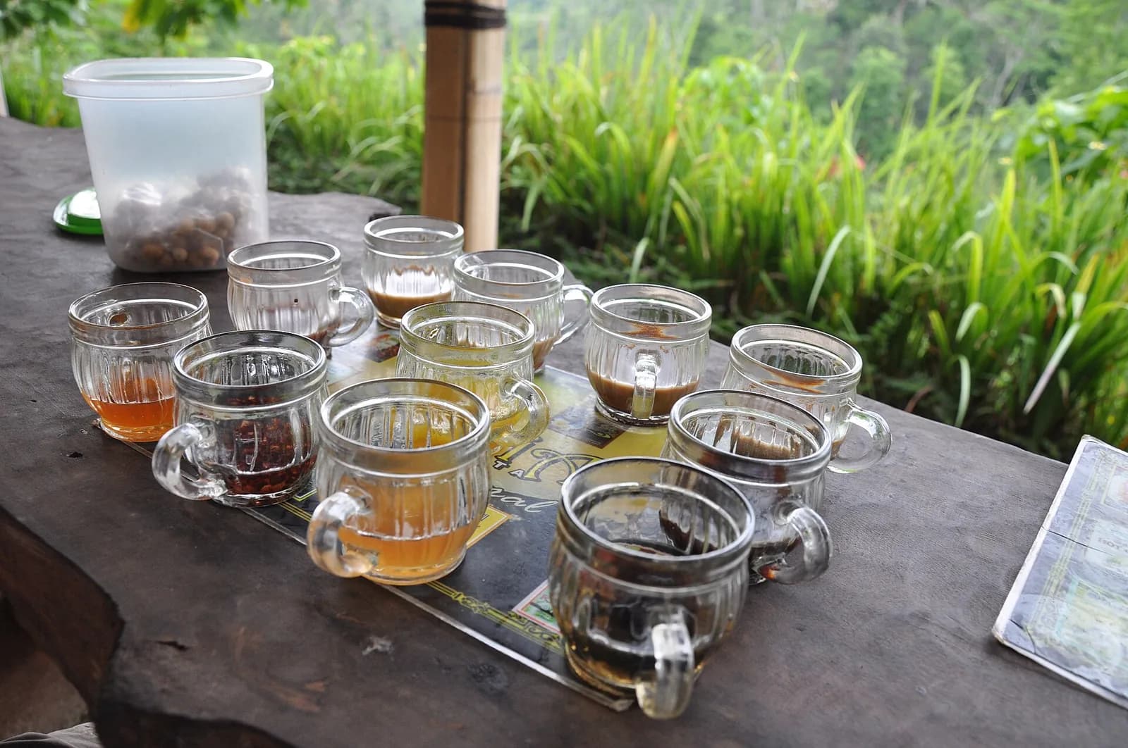 Tasting tray of Balinese coffees and teas in small glasses above green rice fields, Satria coffee plantation near Tirta Empul, Bali