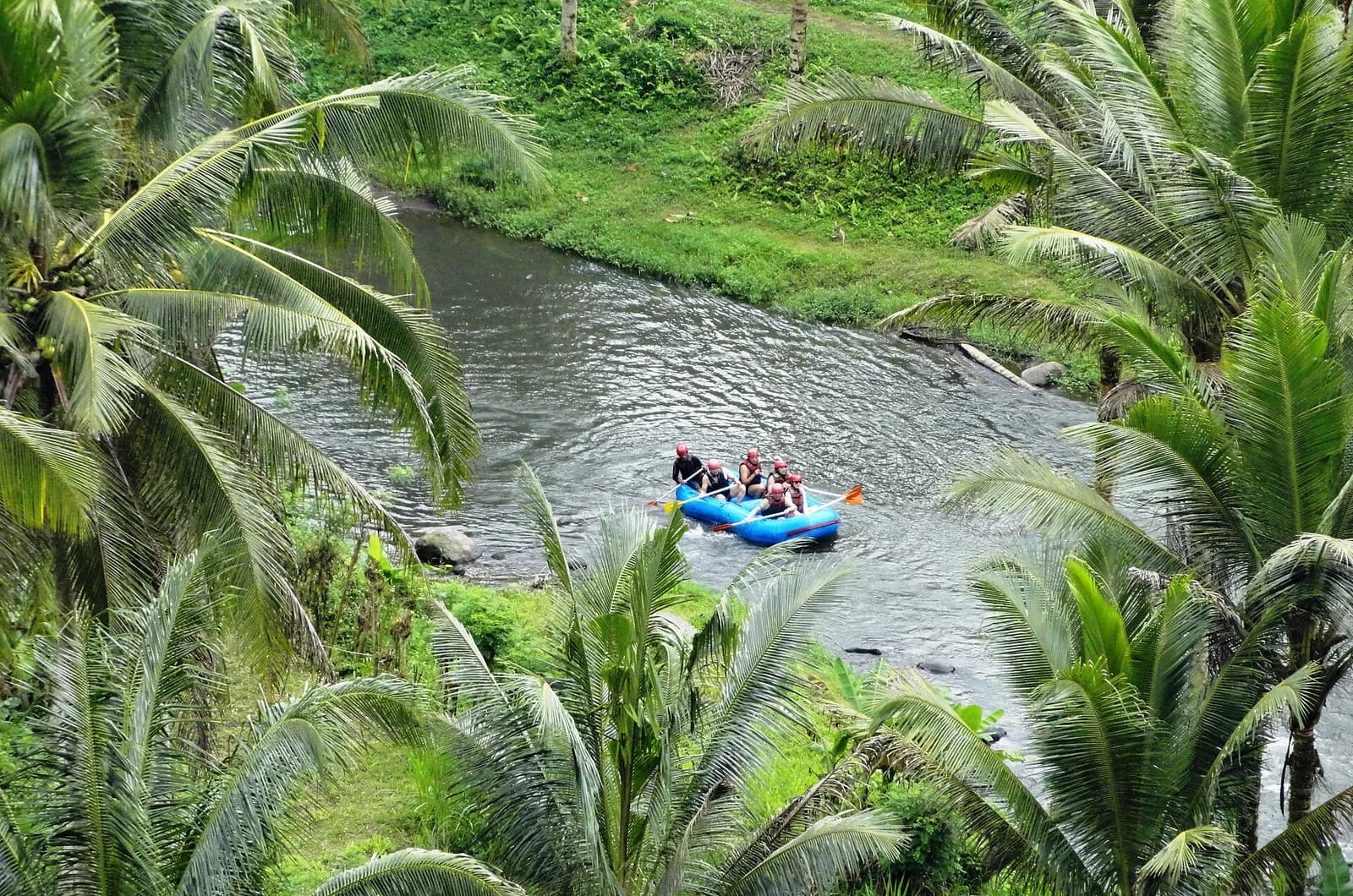 A raft on the Ayung River below palm trees, seen from the Sayan ridge near Ubud, Bali